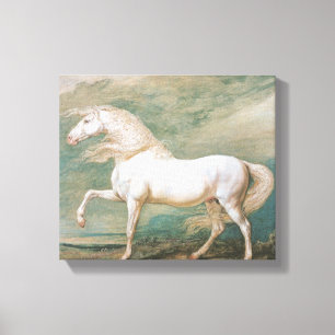 "Adonis" door James Ward Canvas Afdruk