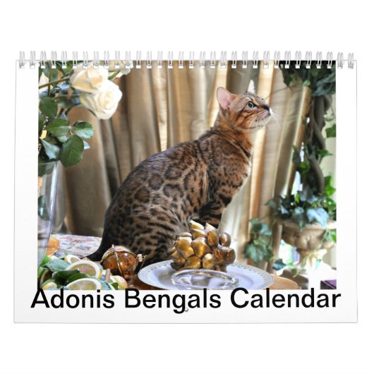 AdonisBengals Agenda - 2014 Kalender (Hoes)