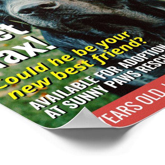 Adopt a Pet Custom Magazine Cover, Pet Portrait Poster (Hoek)