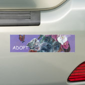 ADOPT Bumpersticker Boxer Dog (Op auto)