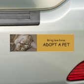 ADOPT EEN PET-Bumpersticker 1 Bumpersticker (Op auto)