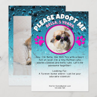 Adopt me dog custom 2 photo shelter animal rescue kaart