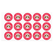 Adopteer, redding, pleegster | Schattigee hondenba