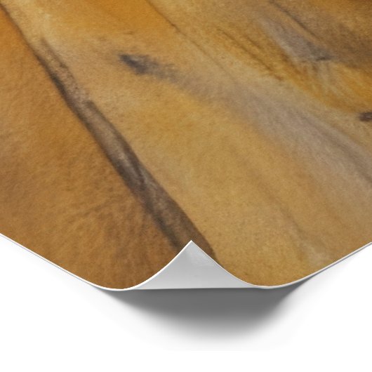 Adopter à partir d'une affiche de chien mignon d'a (Coin)