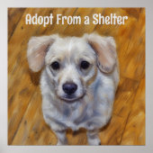 Adopter à partir d'une affiche de chien mignon d'a (Devant)