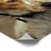 Adopter une affiche errante (Coin)