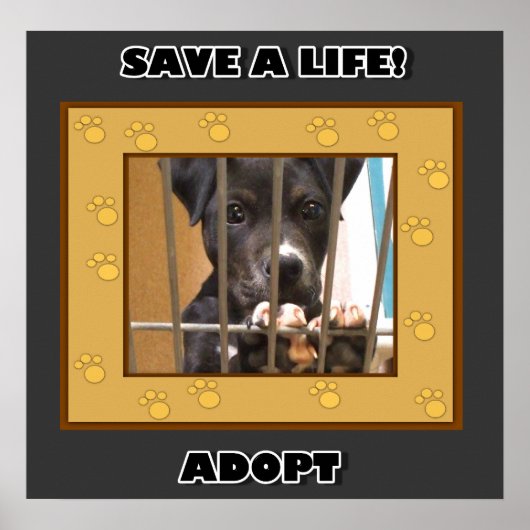 Adopter une affiche pour chiot (Devant)