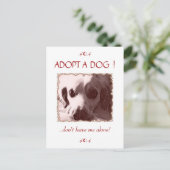 Adopter une carte postale de chien (Debout devant)