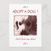 Adopter une carte postale de chien (Devant)