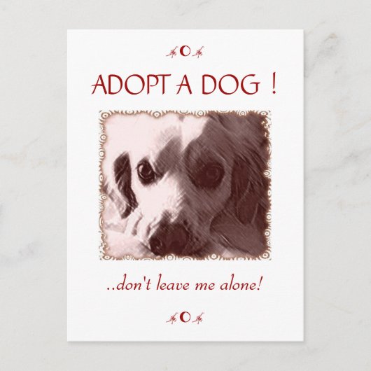 Adopter une carte postale de chien (Devant)
