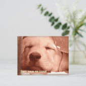 Adopter une carte postale de chien (Debout devant)