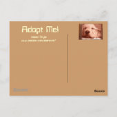 Adopter une carte postale de chien (Dos)