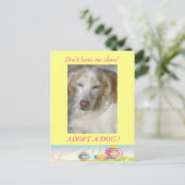 Adopter une carte postale de Pâques de Chien (Debout devant)