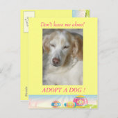 Adopter une carte postale de Pâques de Chien (Devant / Derrière)