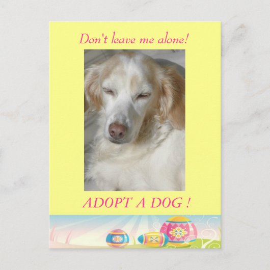 Adopter une carte postale de Pâques de Chien (Devant)