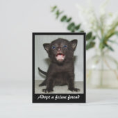 Adopter une carte postale Feline Friend (Debout devant)