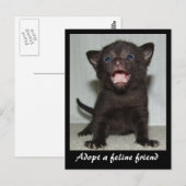 Adopter une carte postale Feline Friend (Devant / Derrière)