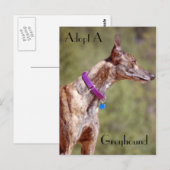 Adopter Une Carte Postale Greyhound (Devant / Derrière)