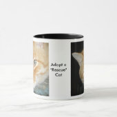 Adopter une Mug de chat "Secourt" (Centre)