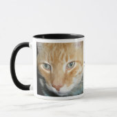 Adopter une Mug de chat "Secourt" (Gauche)