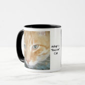 Adopter une Mug de chat "Secourt" (Devant gauche)