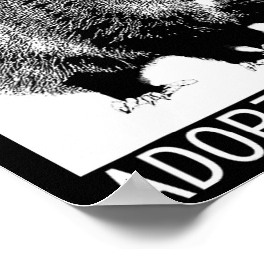  adopteren een posum van een kat Japans opossum Poster (Hoek)