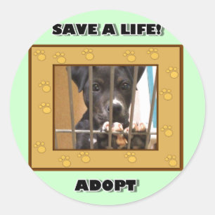 Adoptez un autocollant de chiot