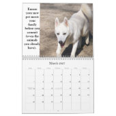 Adoptez un calendrier d'animal d'abri (Mar 2027)