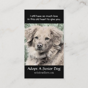 Adoptez un carte de visite animal de délivrance d