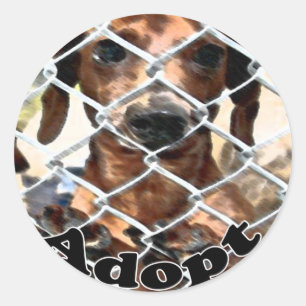 Adoptie Sticker