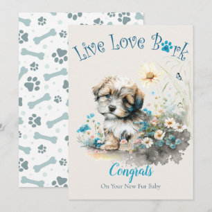 Adoptie van Havanese honden, Gotcha-dag Kaart