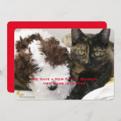 Adoptie van Pet Cat, Naam, Uw Foto, Aankondiging (Voorkant / Achterkant)