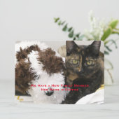 Adoptie van Pet Cat, Naam, Uw Foto, Aankondiging (Staand voorkant)