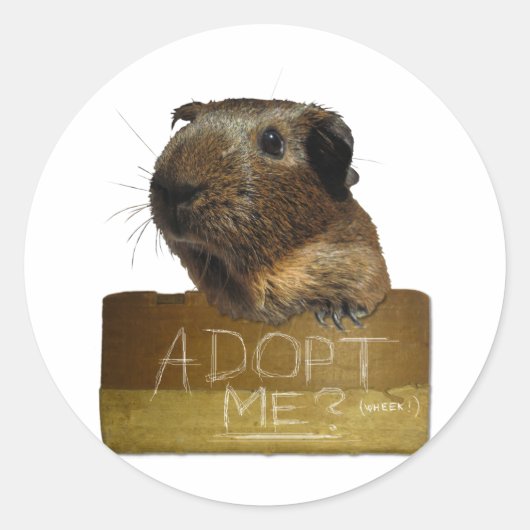 Adoptie voor redding van cavia's ronde sticker (Voorkant)