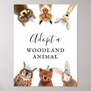 Adoptiecentrum Jongen Woodland Birthday Party Si Poster