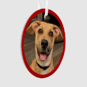 Adoption d'animaux | Photo personnalisée (devant)