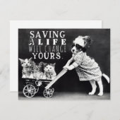 Adoption de chiens et de chats et carte de voeux S (Devant / Derrière)