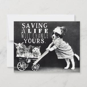 Adoption de chiens et de chats et carte de voeux S