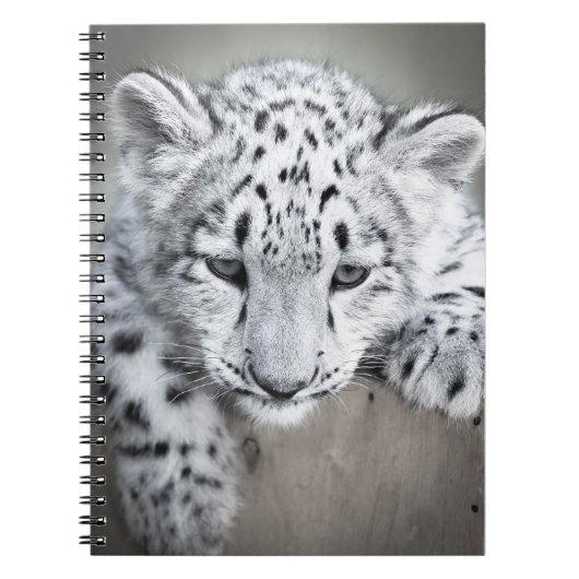Adorabe Snow Leopard Cub Notitieboek (Voorkant)