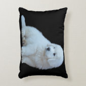 Adorable, 2 côtés, Coussin polonais de chiot de Ta (Devant(Vertical))