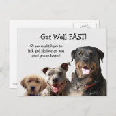 Adorable Animaux Obtenir Bonne Carte Postale (Devant / Derrière)