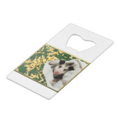 Adorable bébé doux Opossum (Dos Angle)