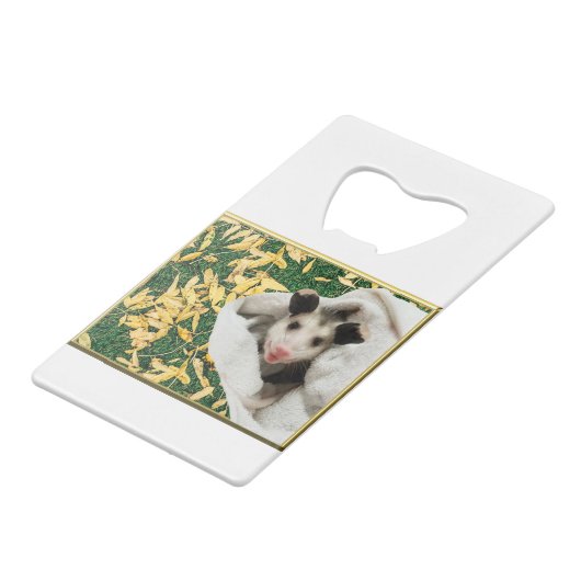 Adorable bébé doux Opossum (Dos Angle)