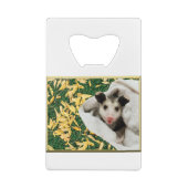 Adorable bébé doux Opossum (Dos)