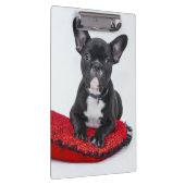 Adorable Black and White Bulldog Puppy Photo Klembord (Rechts)