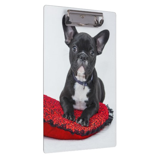 Adorable Black and White Bulldog Puppy Photo Klembord (Rechts)