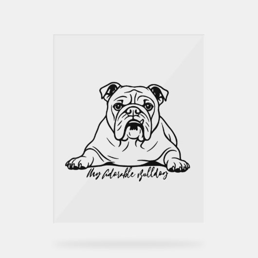 Adorable Bulldog (Recto)