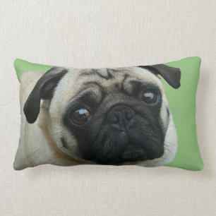 Adorable Carlin américain MoJo Lumbar Coussins
