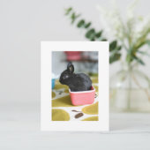 adorable carte postale lapin (Debout devant)