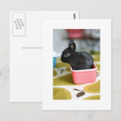 adorable carte postale lapin (Devant / Derrière)